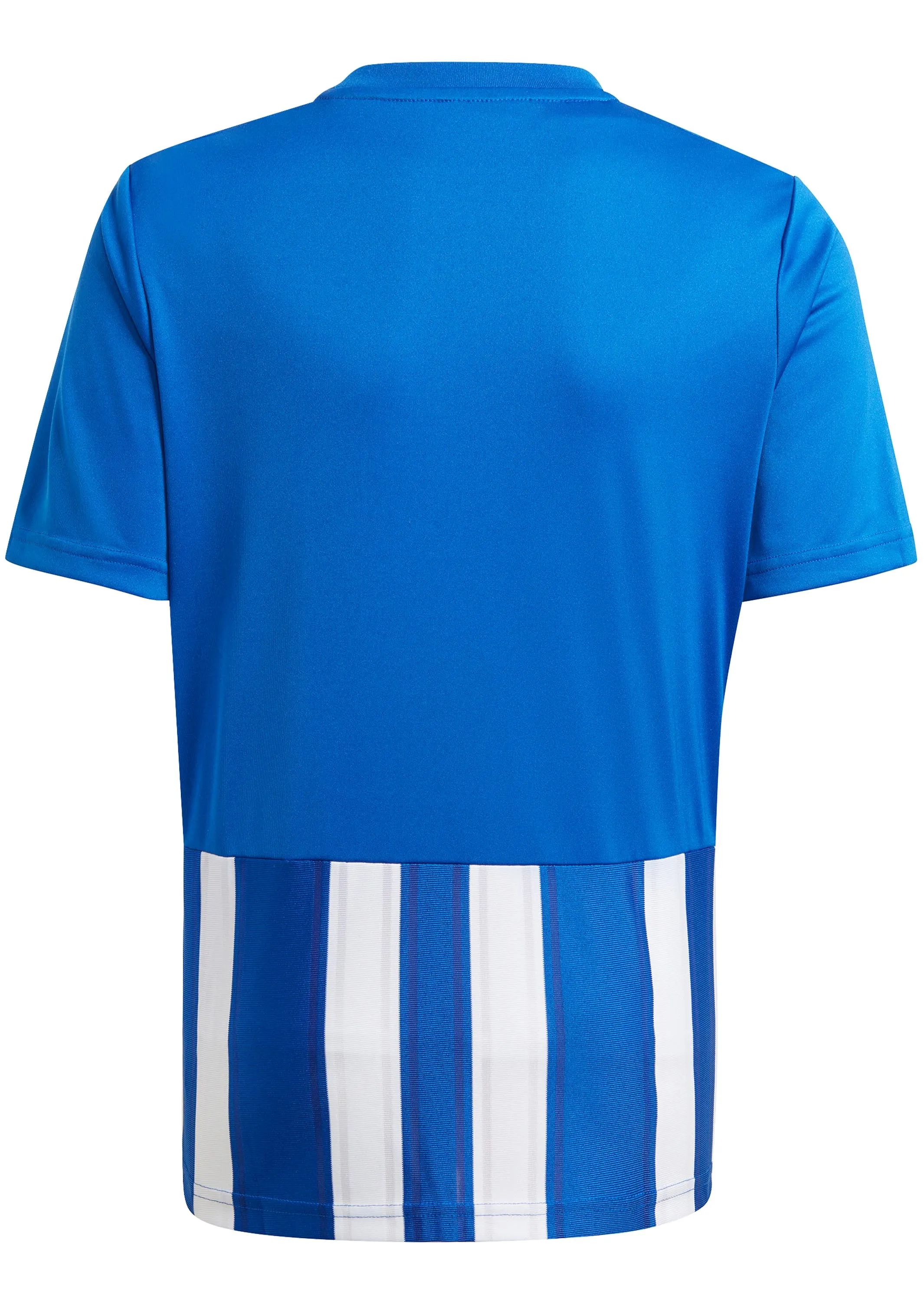 Adidas Youth Striped 21 Jersey Blue/White <br> GH7323