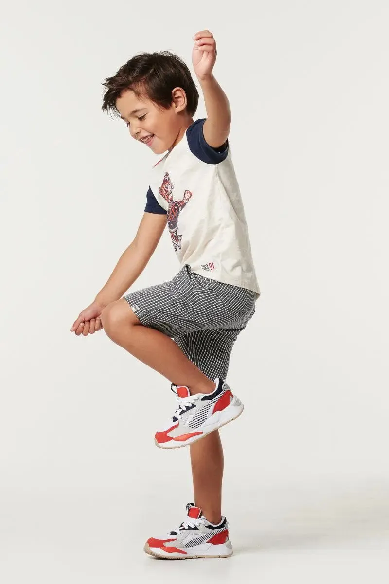 Boys Shorts Striped Ghaziabad | Noppies